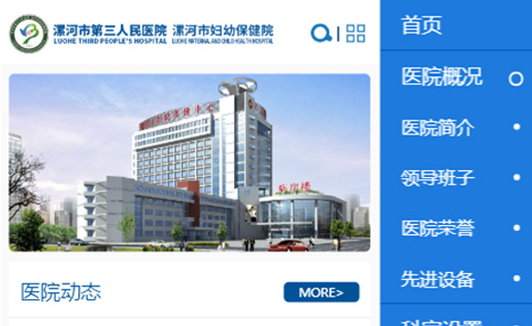 漯河市第三人民医院网站开发、维护