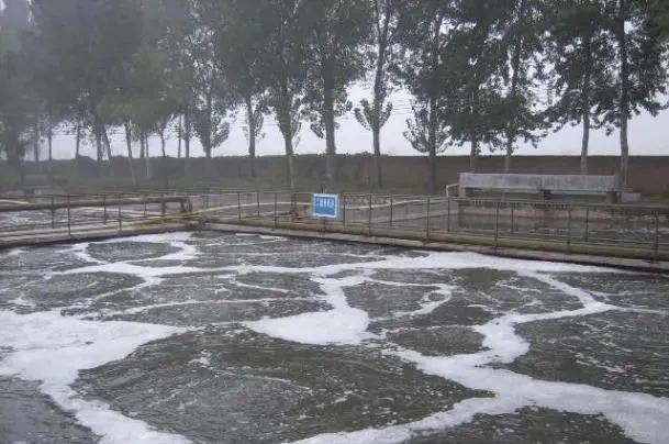 养殖场废水处理要怎么做才能达标