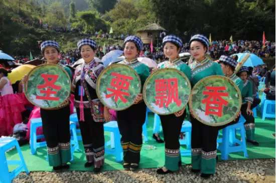 贵州省望谟县第二届板栗文化节即将拉开帷幕