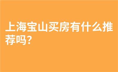 上海宝山买房有什么推荐吗？