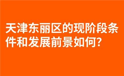 天津东丽区的现阶段条件和发展前景如何？