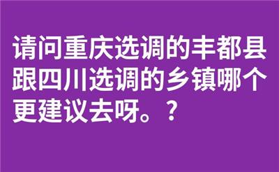 请问重庆选调的丰都县跟四川选调的乡镇哪个更建议去呀。?