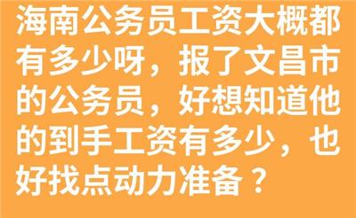 海南公务员工资大概都有多少呀，报了文昌市的公务员，好想知道他的到手工资有多少，也好找点动力准备 ？