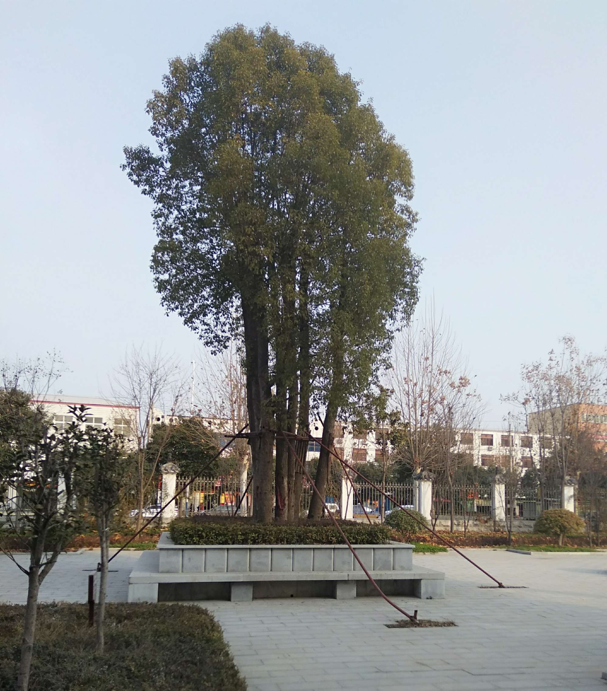 微信图片_20190116100418.jpg
